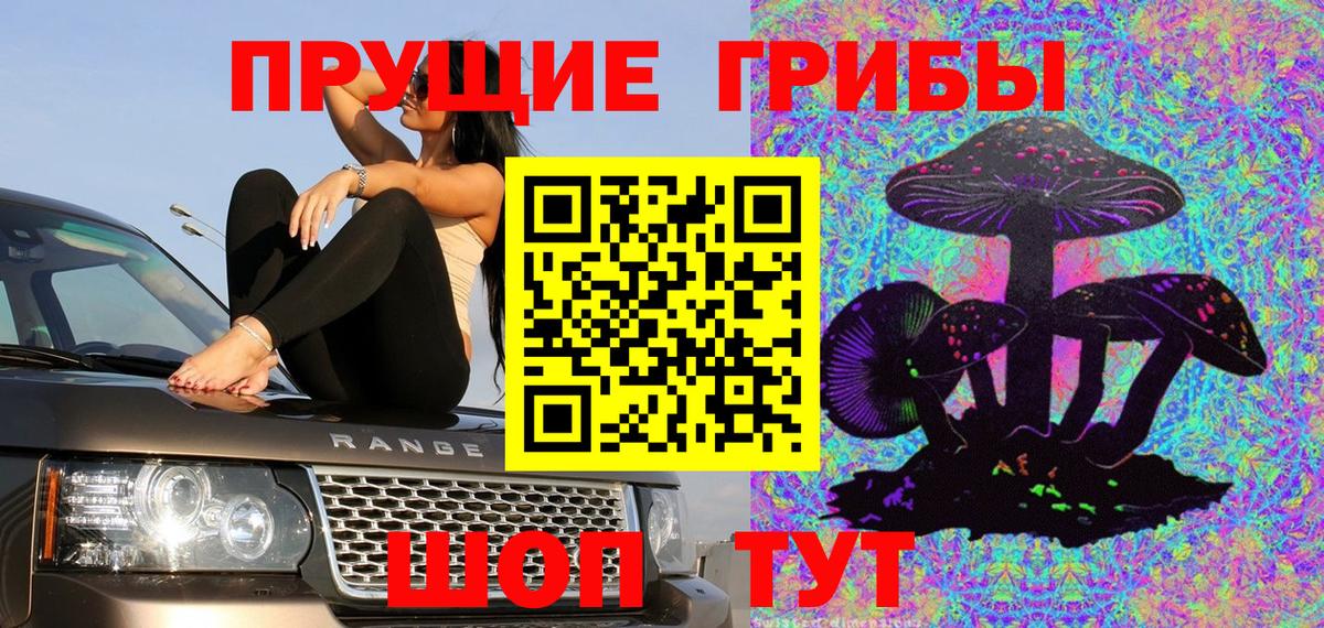 где продают   Псилоцибиновые грибы MAGIC MUSHROOMS  Вход с VPN  Вичуга  Псилоцибиновые грибы GOLDEN TEACHER 